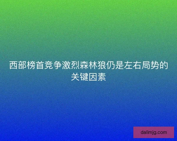 西部榜首竞争激烈森林狼仍是左右局势的关键因素
